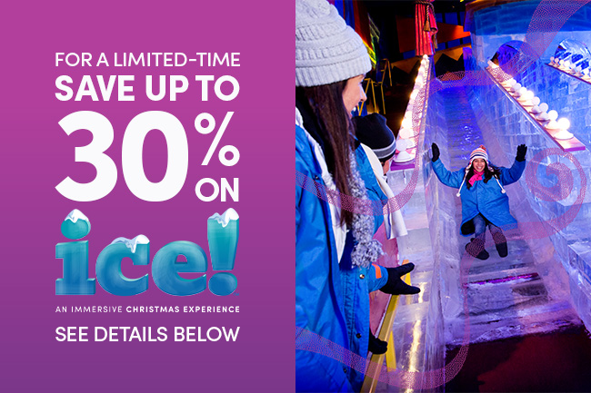 Ice Flash Sale